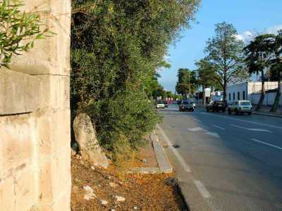 Il menhir barese, che si trova di fronte alle casermette, in via Giuseppe Fanelli